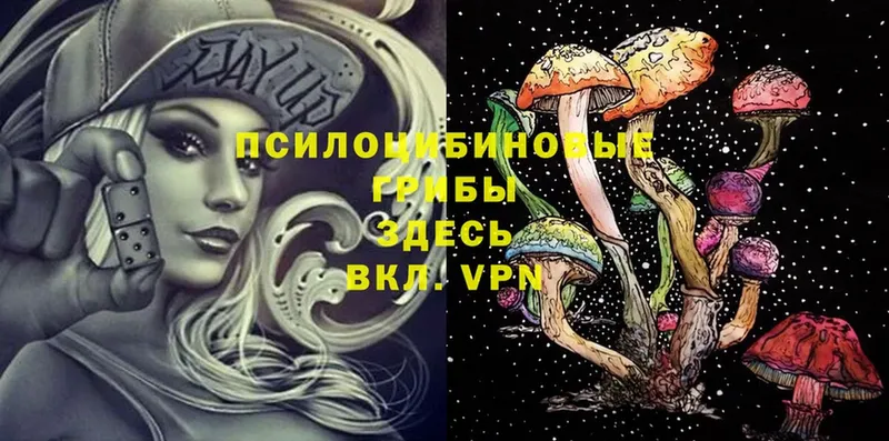 Псилоцибиновые грибы Magic Shrooms  купить наркотик  Борзя 